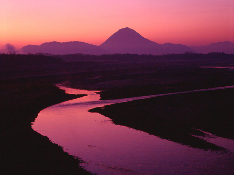 写真拡大