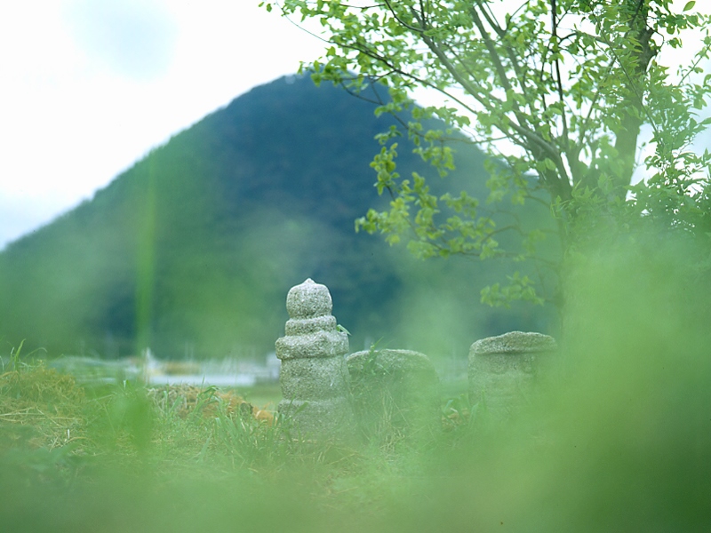 写真拡大