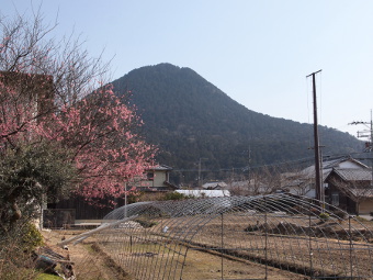 写真拡大