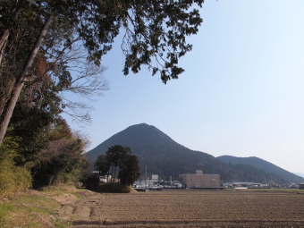 写真拡大