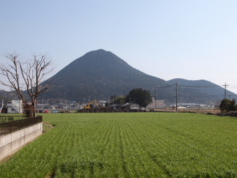 写真拡大