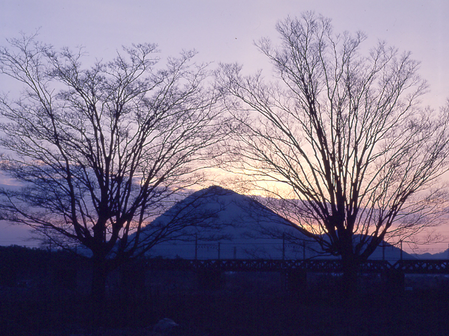 写真拡大
