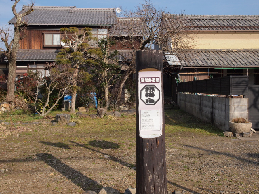 写真拡大