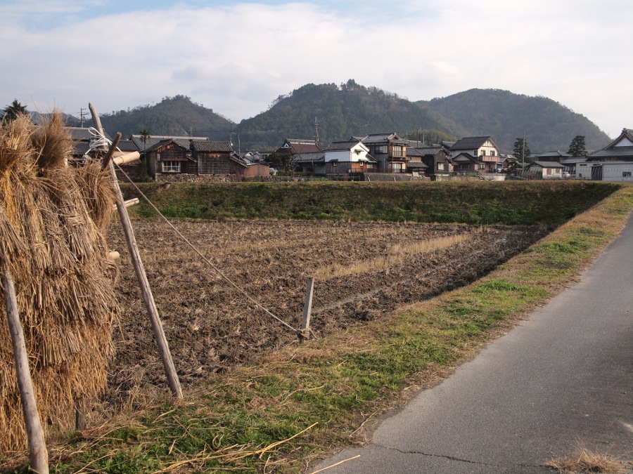 写真拡大