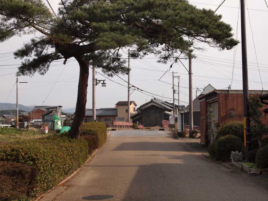 写真拡大