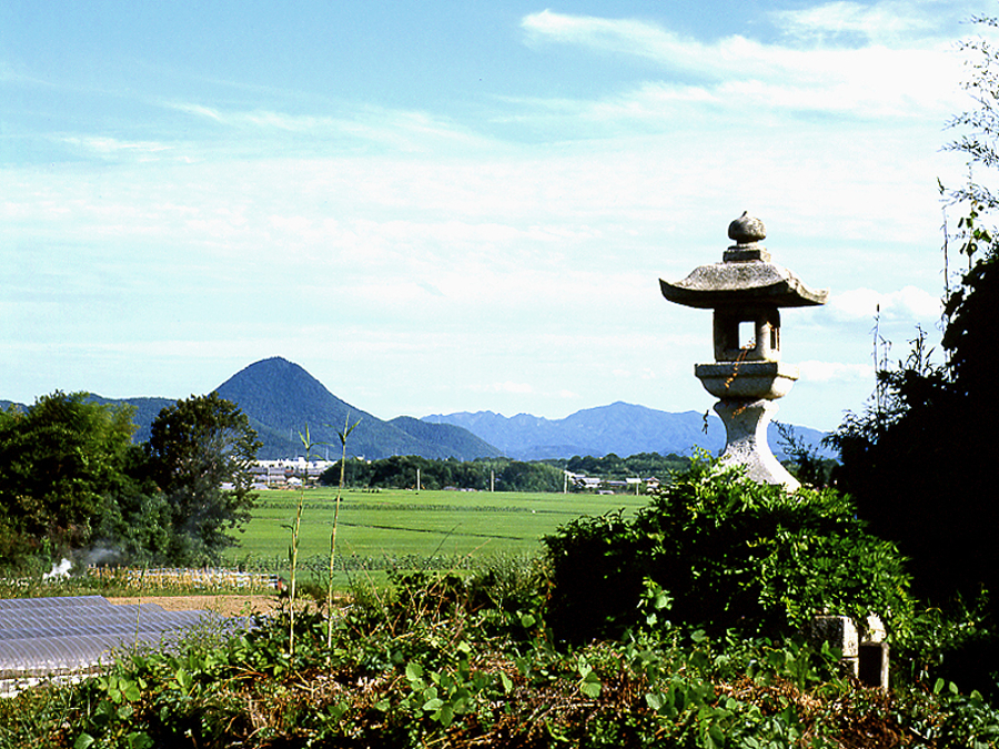 写真拡大