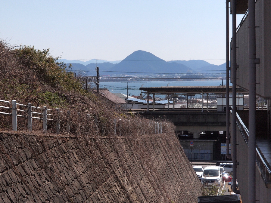 写真拡大