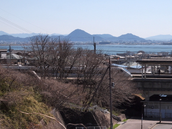 写真拡大