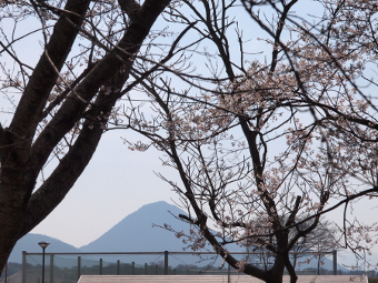 写真拡大