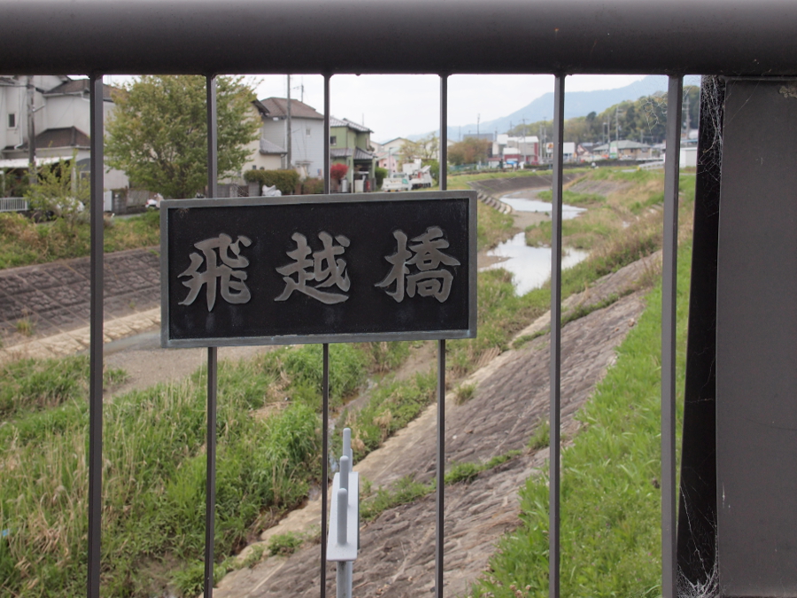 写真拡大