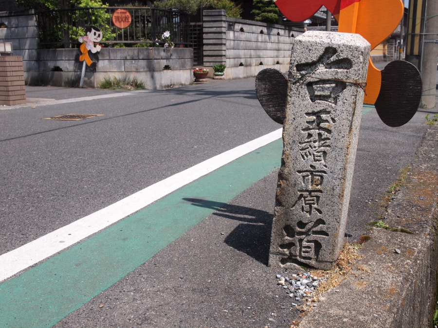 写真拡大