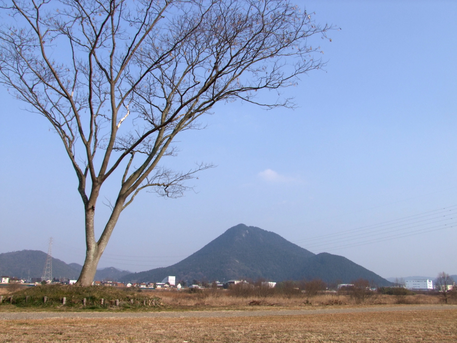 写真拡大