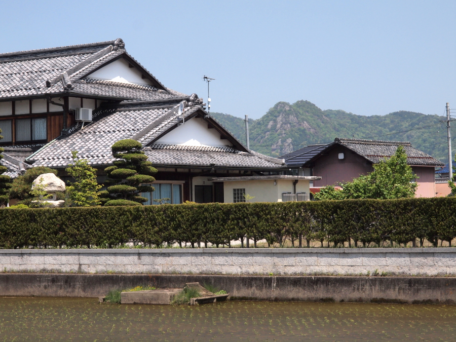 写真拡大