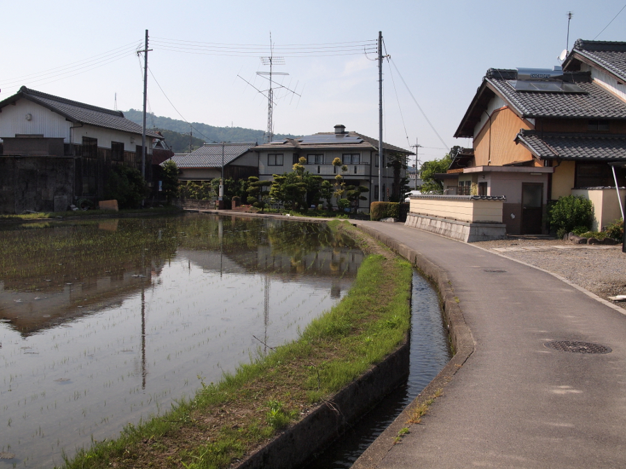 写真拡大