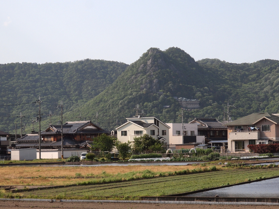 写真拡大