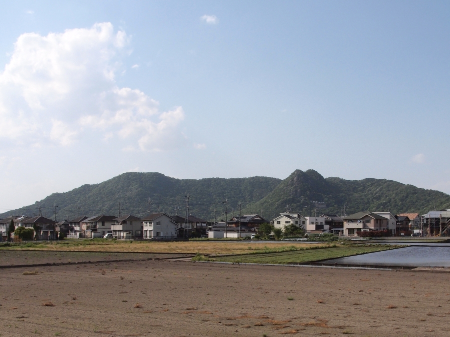 写真拡大