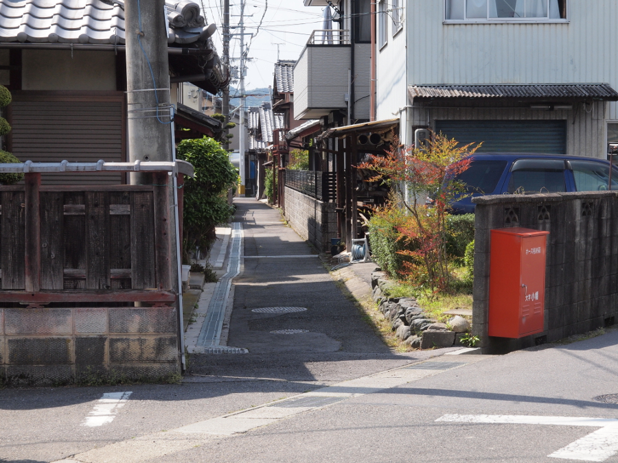 写真拡大