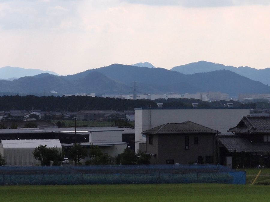 写真拡大