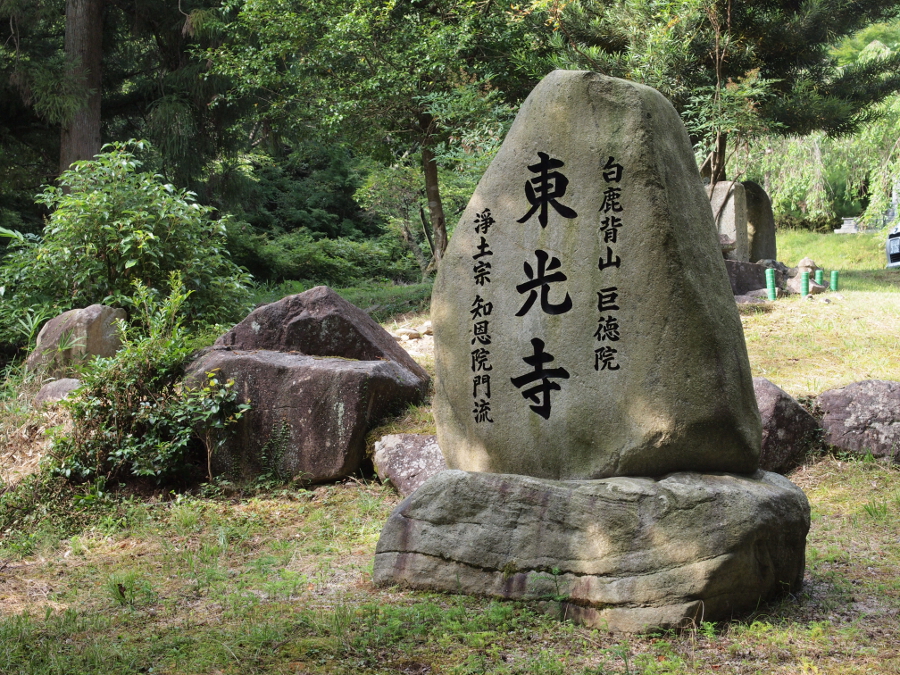 写真拡大