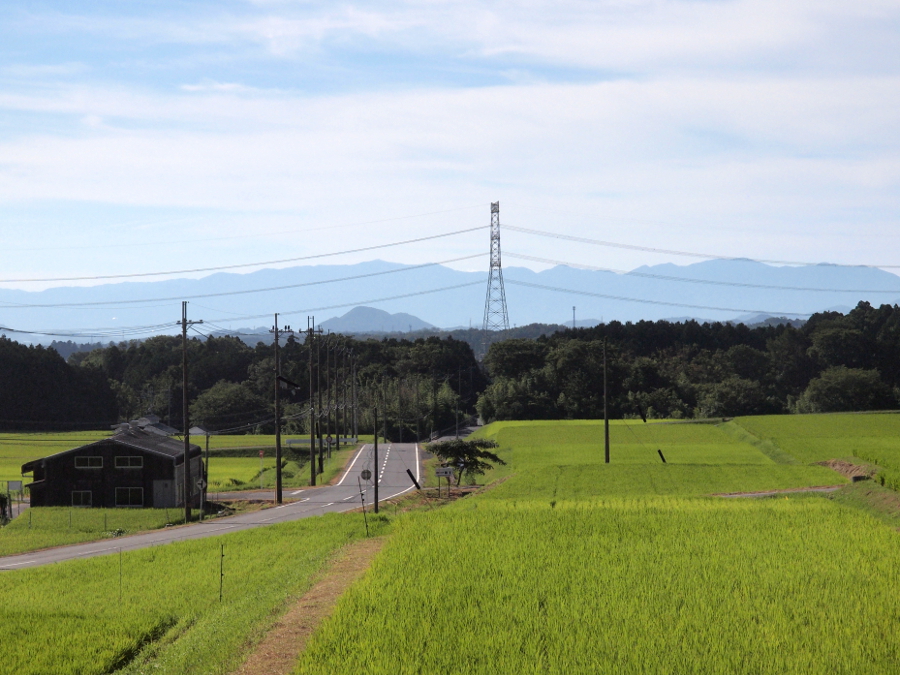写真拡大