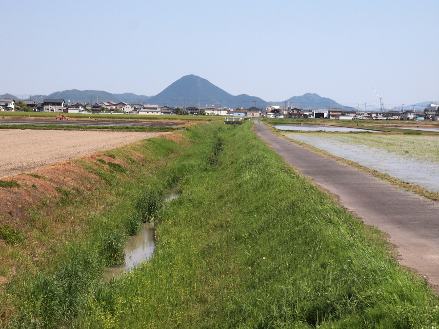 写真拡大