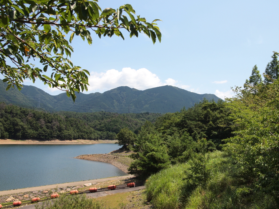 写真拡大