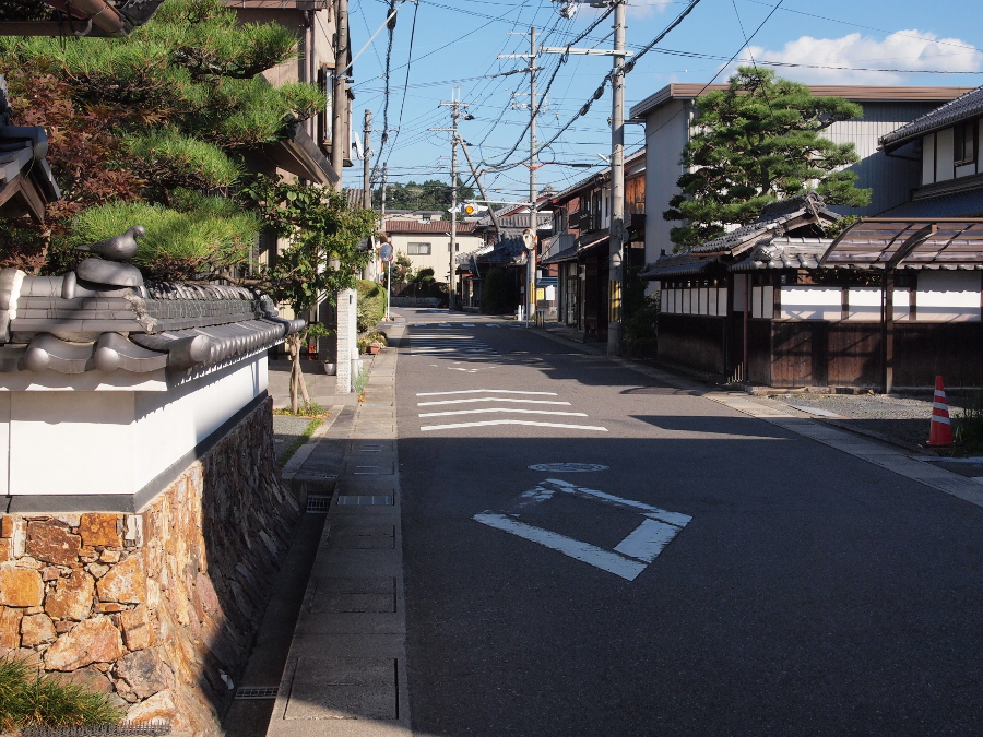写真拡大