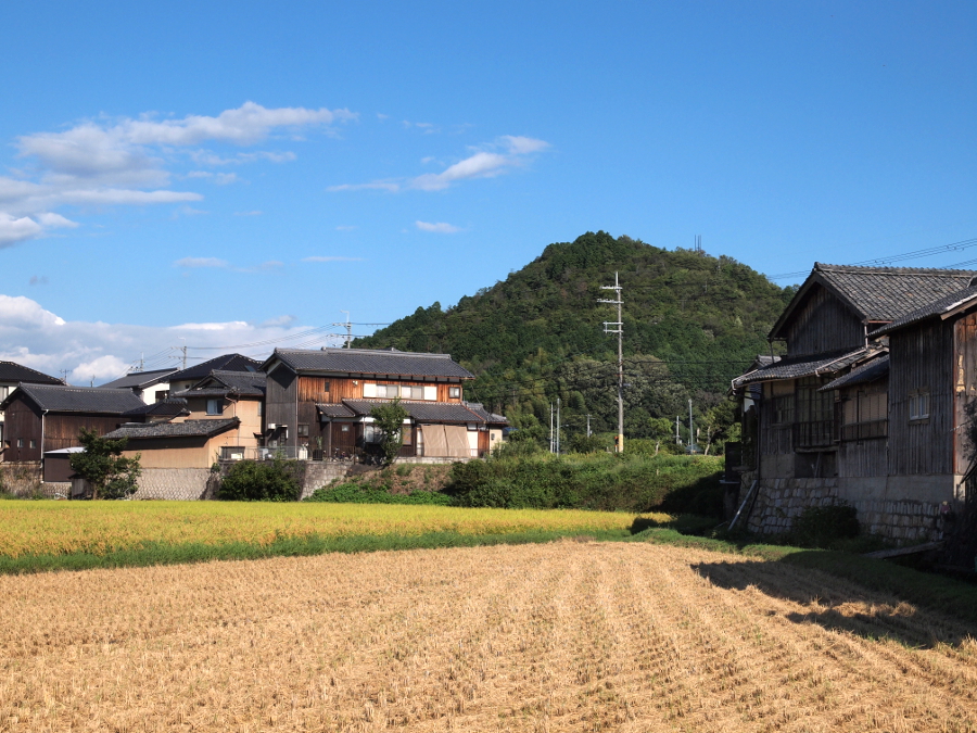 写真拡大