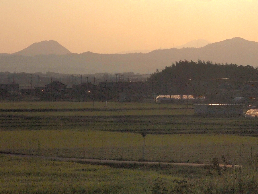 写真拡大