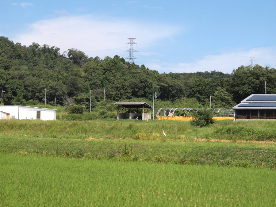 写真拡大