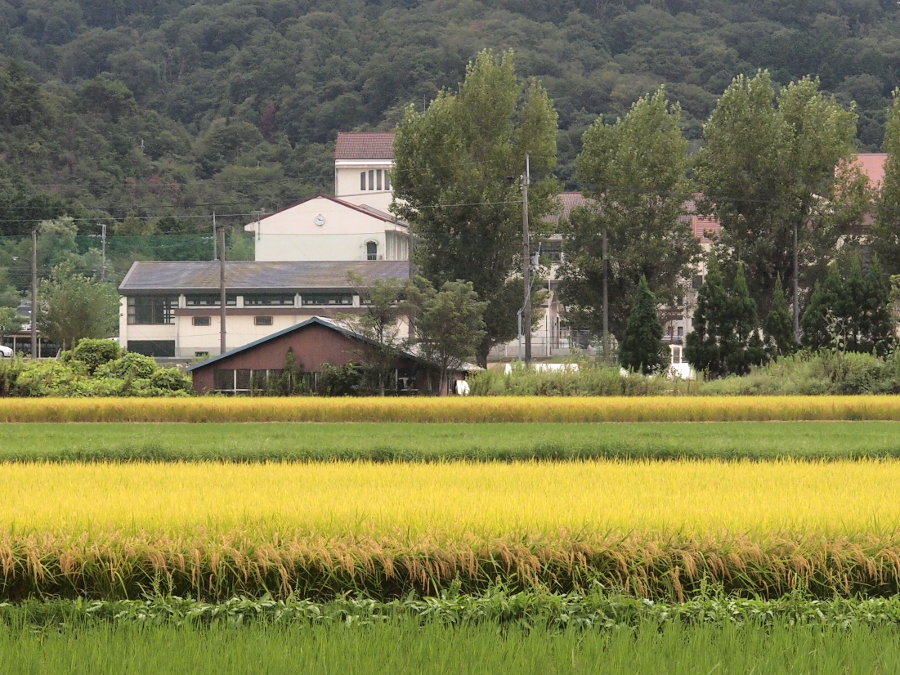 写真拡大