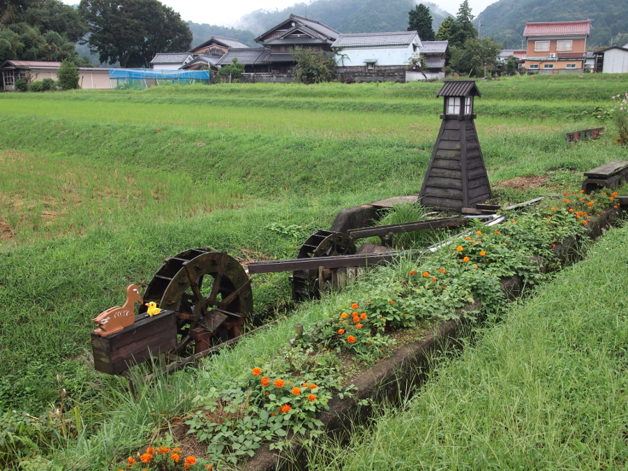 写真拡大