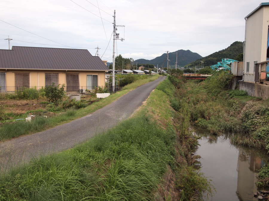 写真拡大
