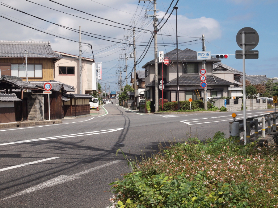 写真拡大