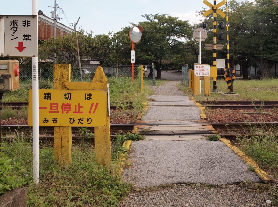 写真拡大