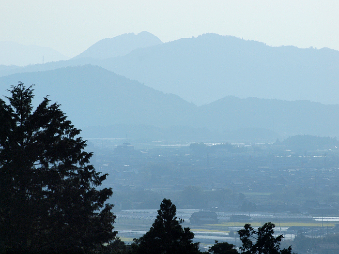 写真拡大