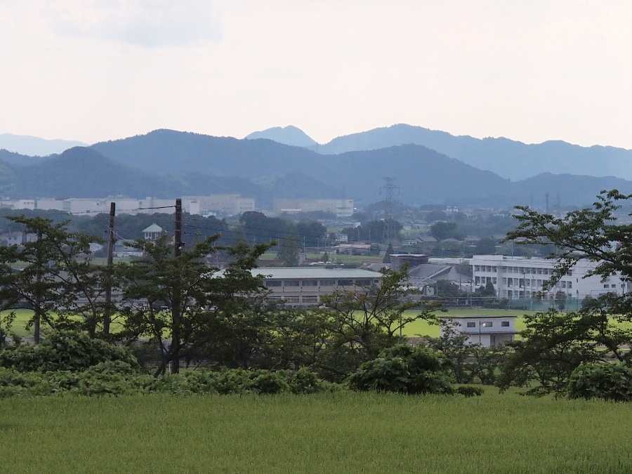 写真拡大