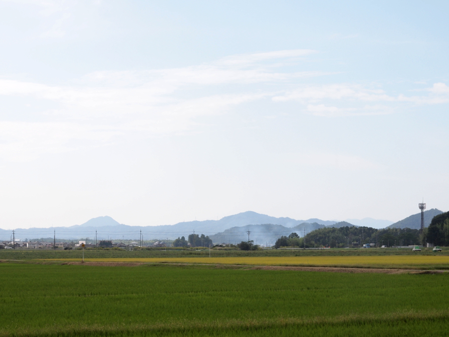 写真拡大