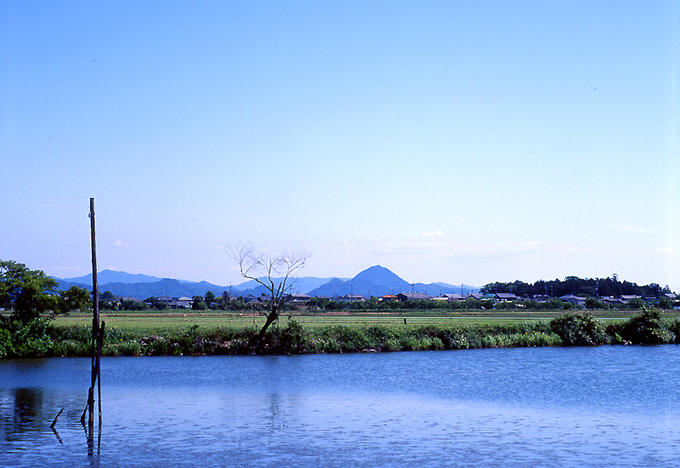 写真拡大