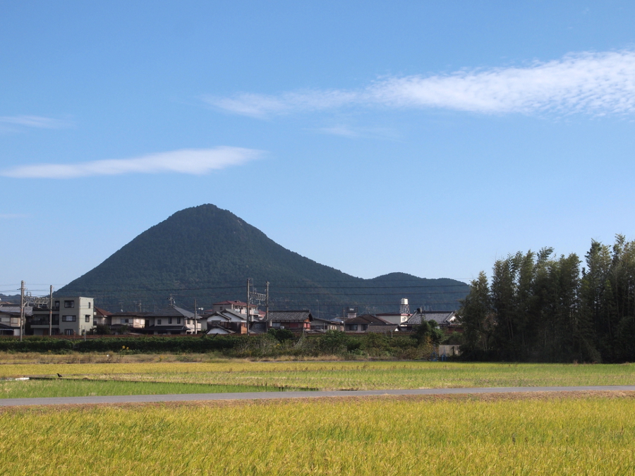 写真拡大