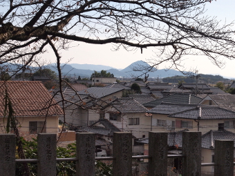写真拡大