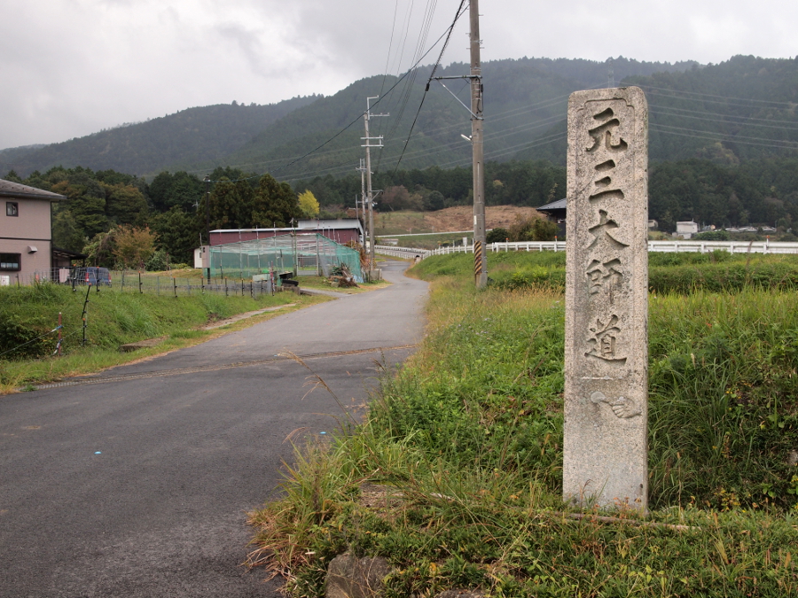 写真拡大