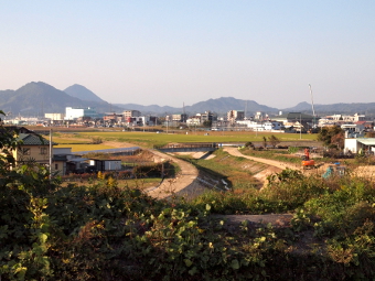写真拡大