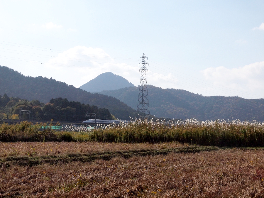 写真拡大
