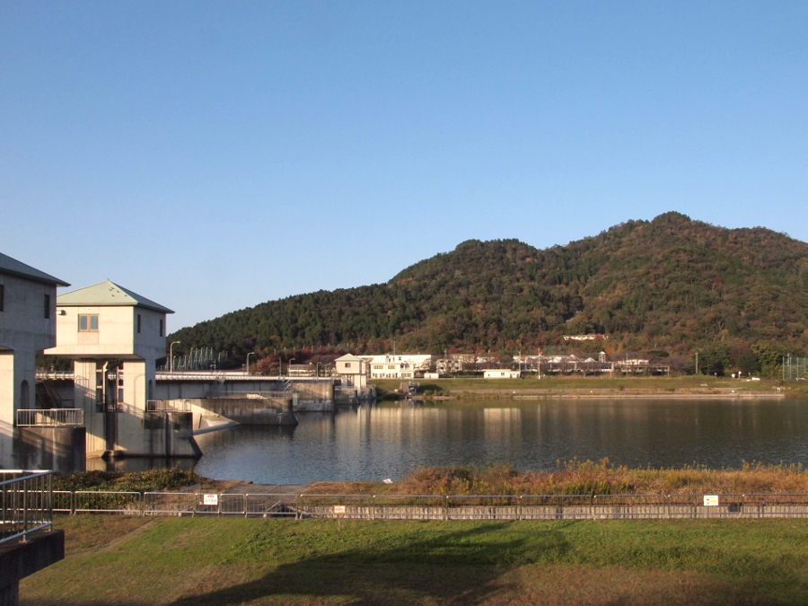 写真拡大