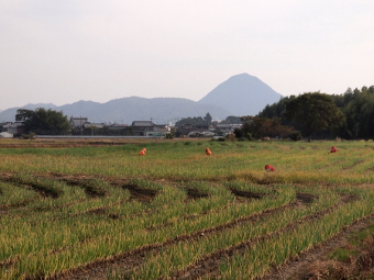 写真拡大