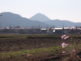 写真拡大