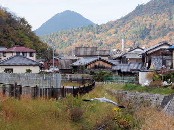 写真拡大