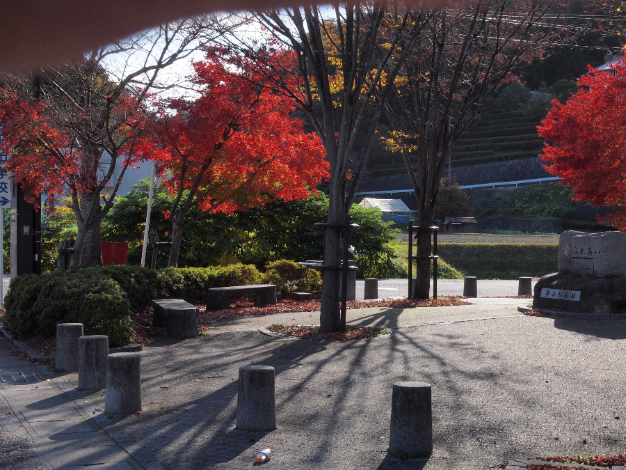 写真拡大