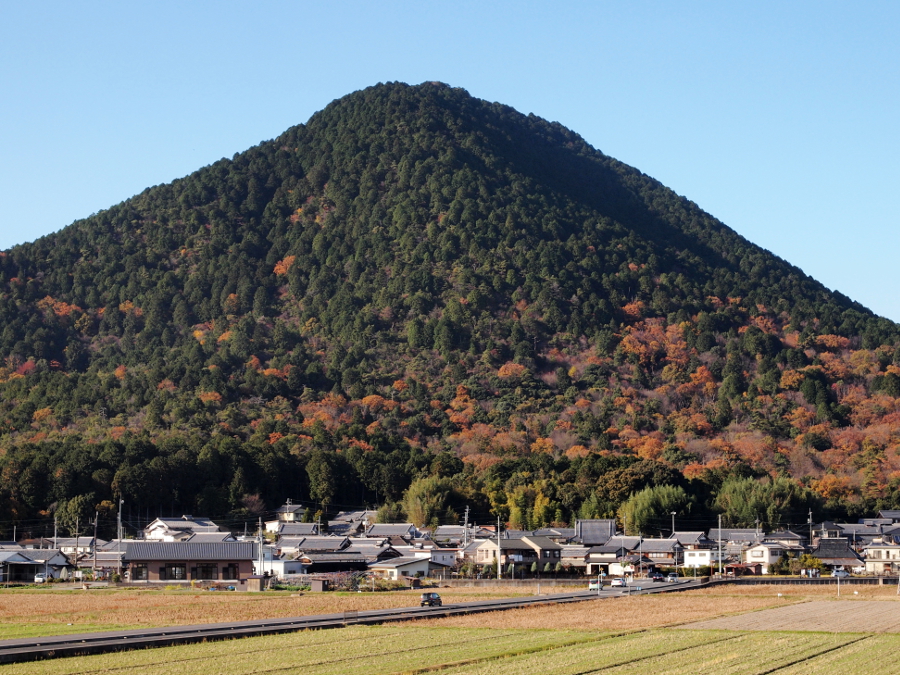写真拡大